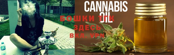 сатива Балахна