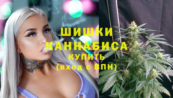 сатива Балахна