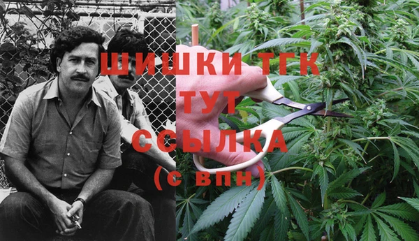 сатива Балахна