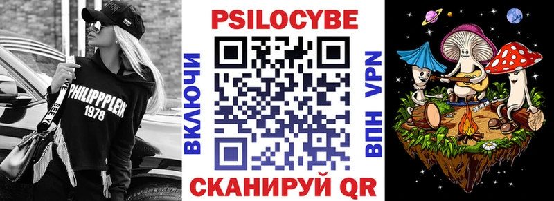 закладка  Шагонар  Галлюциногенные грибы Psilocybine cubensis 